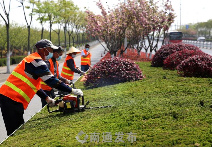 青岛云涛绿化工程 青岛云涛绿化工程